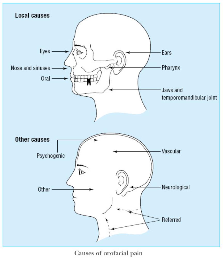 Causes_of_Oro-Facial_Pain_2-863x1002