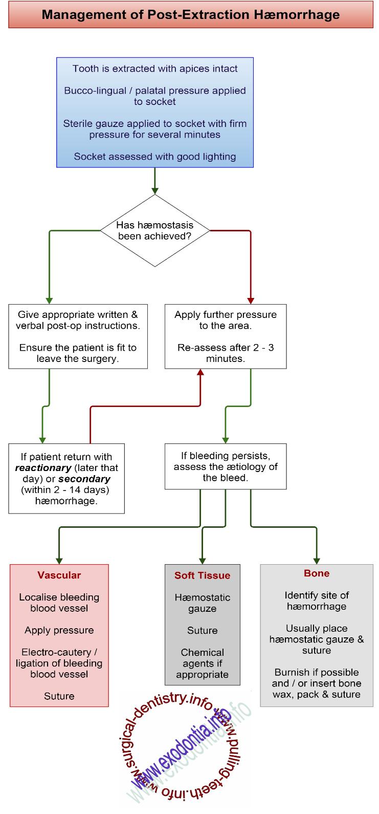 Management_of_Post-Extraction_Haemorrhage-741x1590