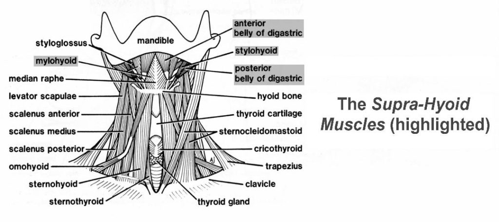 Clicking Tmj Exercises Exodontia