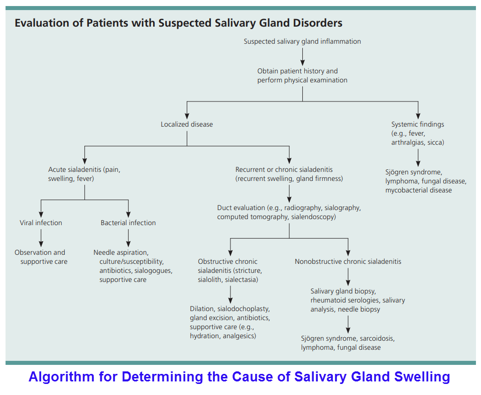 Discision_Tree_for_Evaluation_of_Patients_with_Suspected_Salivary_Gland_Disorder